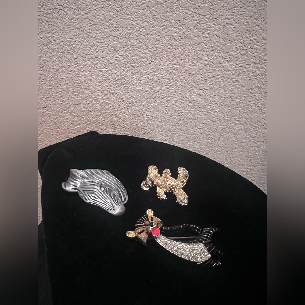 Brooch set